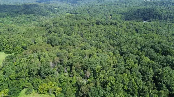 Danbury, NC 27016,1344-1540 NC Highway 89 N #90+/- AC north tract