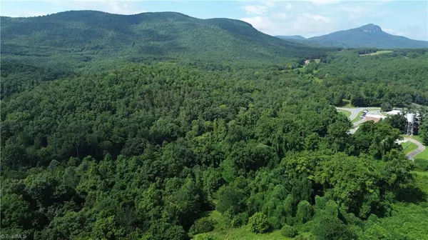 1344-1540 NC Highway 89 N #90+/- AC north tract, Danbury, NC 27016