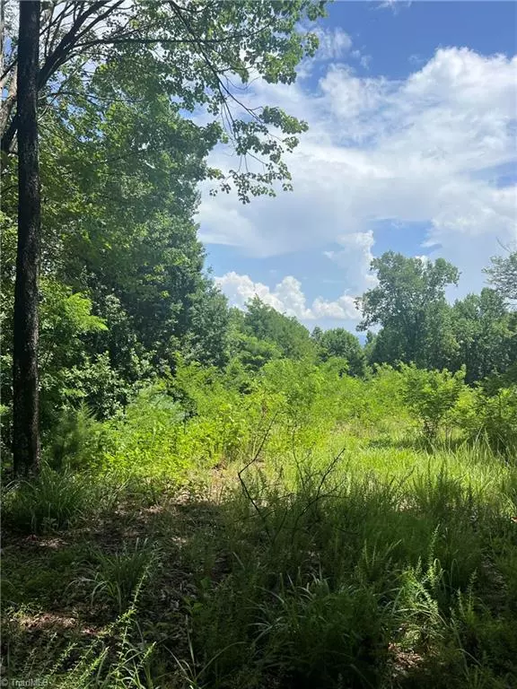 Hays, NC 28635,0 Idlewild DR