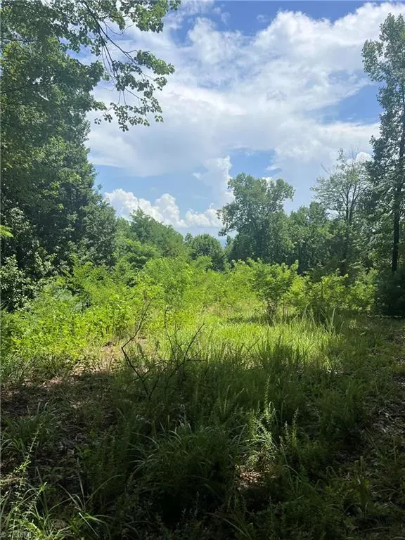 Hays, NC 28635,0 Idlewild DR