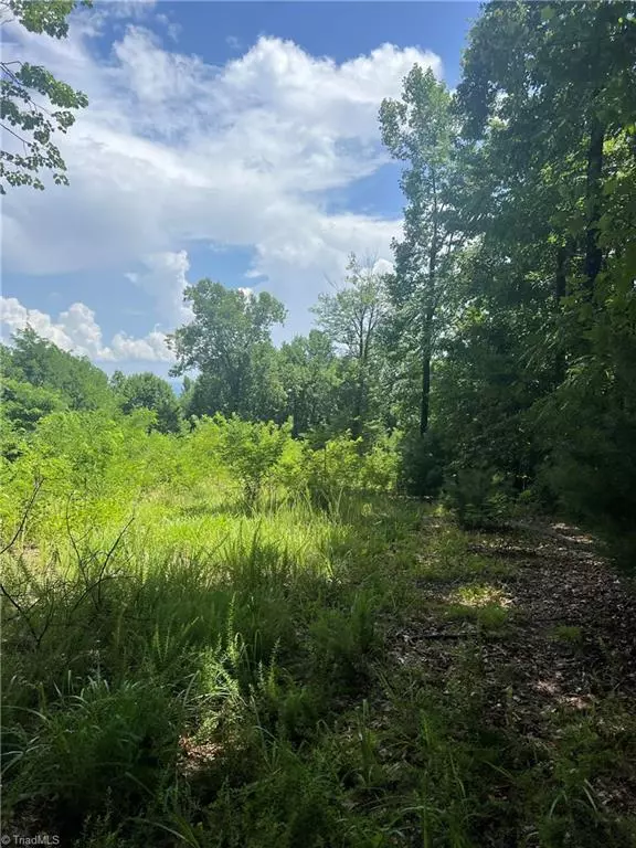 Hays, NC 28635,0 Idlewild DR