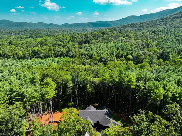 Lowgap, NC 27024,377 McIntosh DR