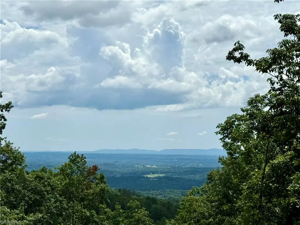 Mcgrady, NC 28649,TBD Widow Mountain DR