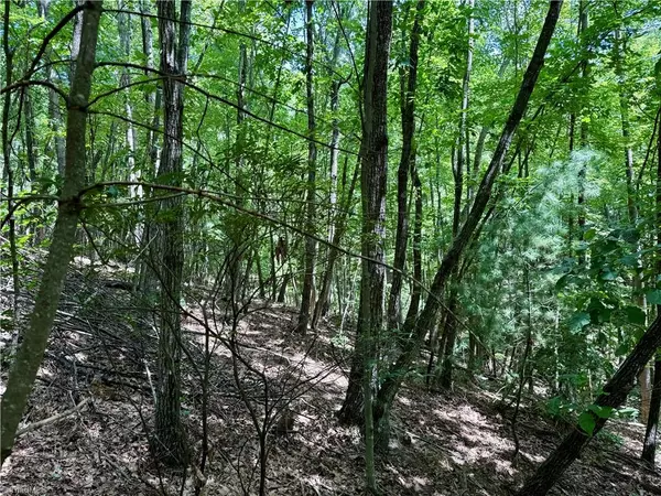 Mcgrady, NC 28649,TBD Widow Mountain DR