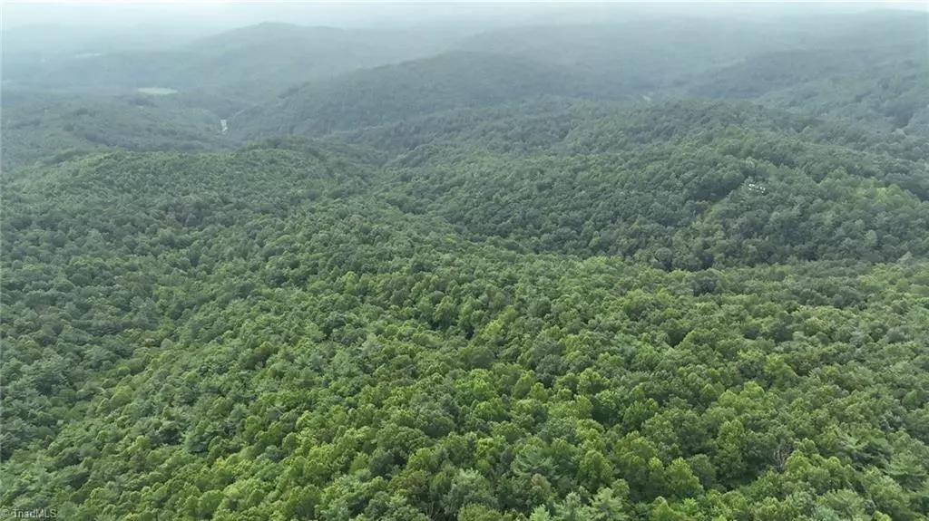 Millers Creek, NC 28651,0 Griffin LN