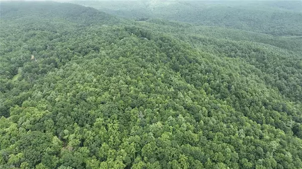 Millers Creek, NC 28651,0 Griffin LN