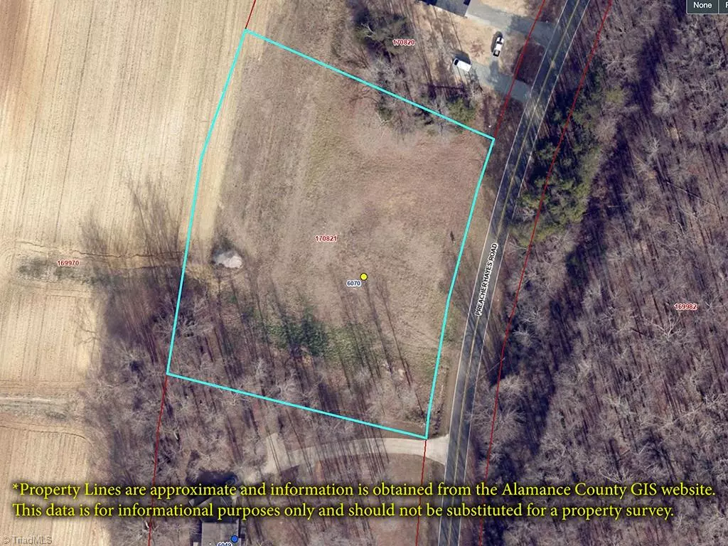 Mebane, NC 27302,6070 Preacher Hayes RD