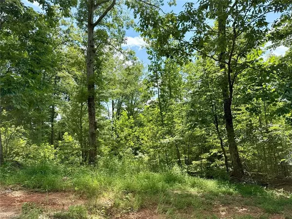 Moravian Falls, NC 28654,TBD Price RD