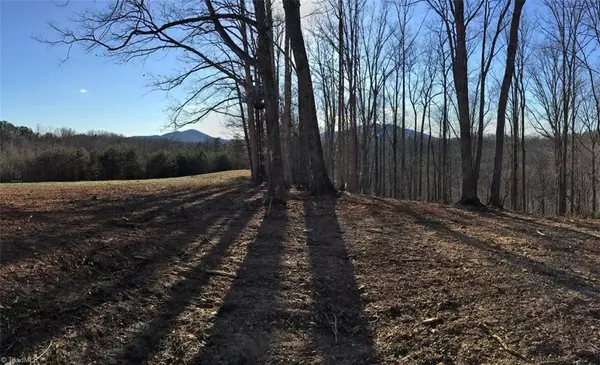 1392 Mission RD, Danbury, NC 27016