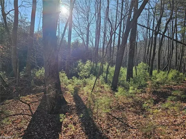 Lowgap, NC 27024,Lot 82 Mcintosh DR