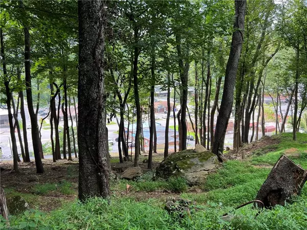 West Jefferson, NC 28694,LOT D Burkett AVE