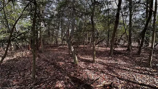 Traphill, NC 28685,TBD002 Christian Home Church RD