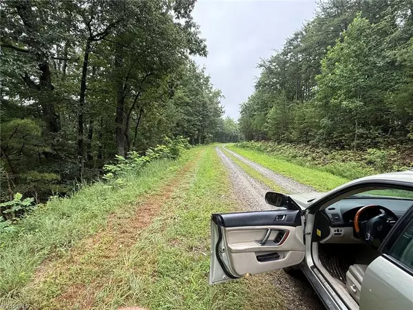 Moravian Falls, NC 28654,Lot 2 Falcon Ridge DR