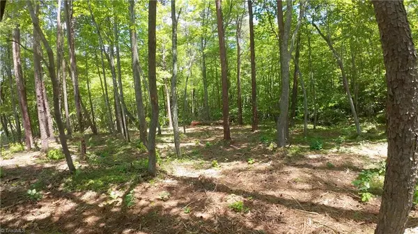 Rural Hall, NC 27045,1728 Shiloh Church RD