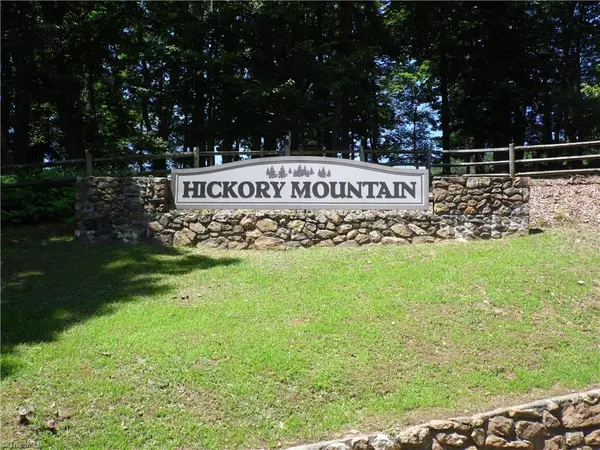 Sparta, NC 28675,TBD Hickory View DR