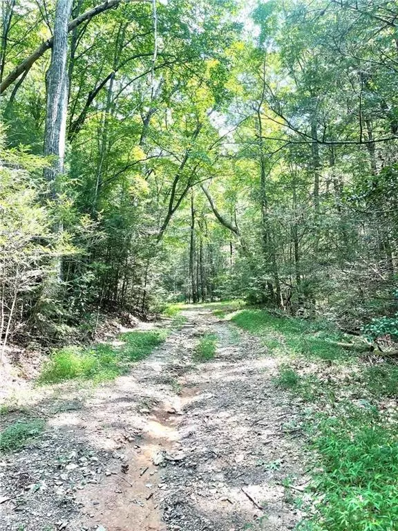 Hays, NC 28649,TBD Buck DR