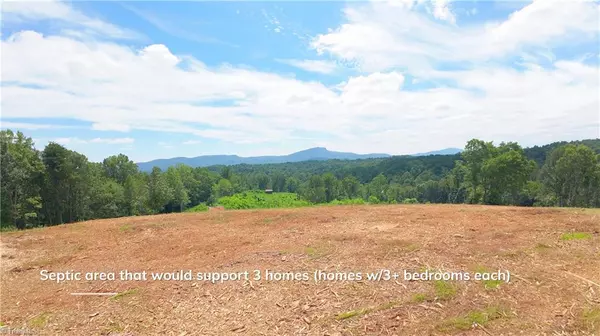 0 Ellis Lawson RD, Danbury, NC 27016
