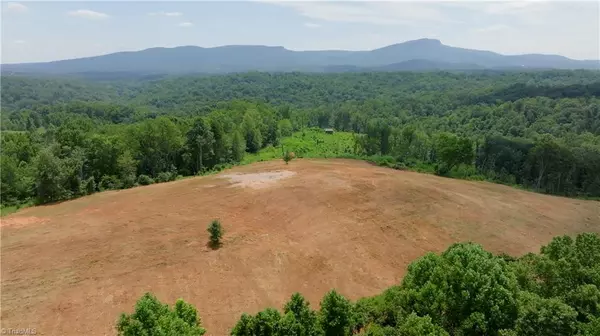 Danbury, NC 27016,0 Ellis Lawson RD