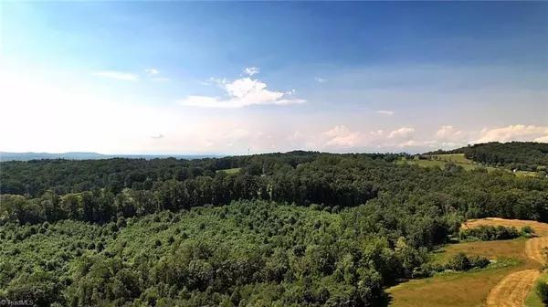 Pilot Mountain, NC 27041,0 Chestnut Ridge RD