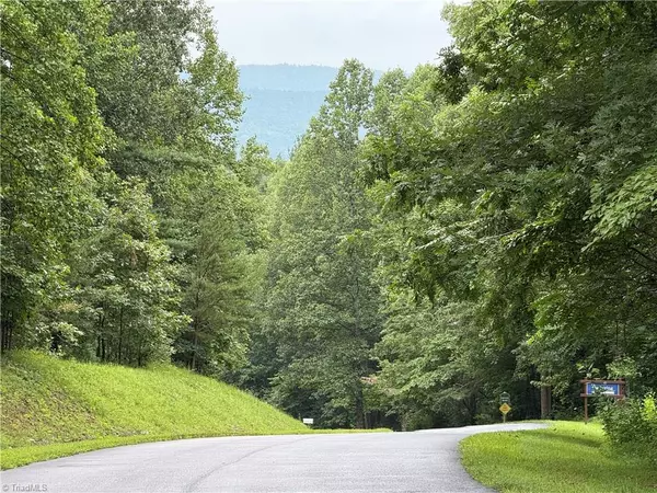 Moravian Falls, NC 28654,Lot 25 Zinzendorf LN