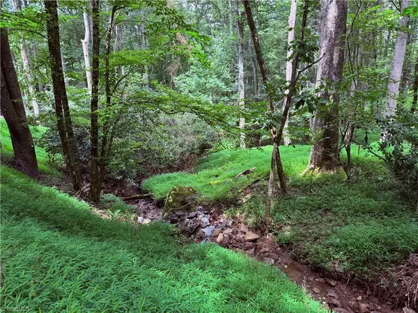 Boone, NC 28607,TBD Tarleton CIR