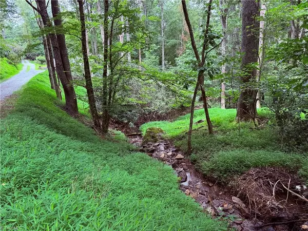 Boone, NC 28607,TBD Tarleton CIR