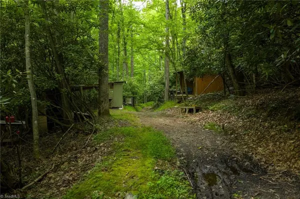 Piney Creek, NC 28663,TBD Phipps Dairy RD