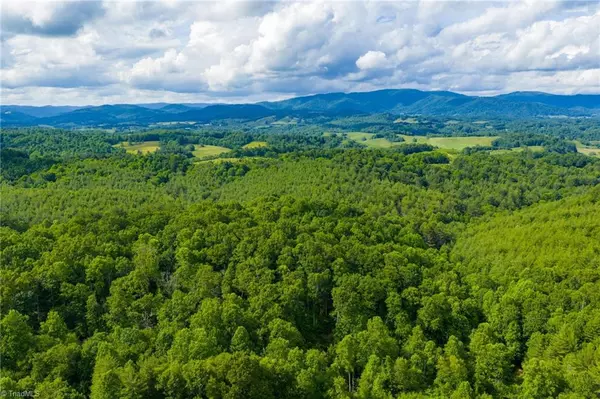 Piney Creek, NC 28663,TBD Phipps Dairy RD