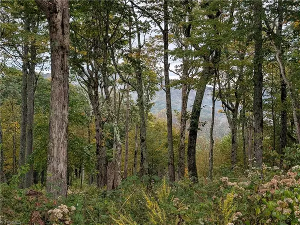 Todd, NC 28684,14 Elk Creek Mountain