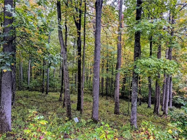 Todd, NC 28684,14 Elk Creek Mountain