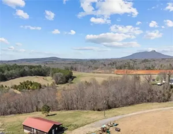 Pinnacle, NC 27043,202-4 Acres Roby Fulk RD