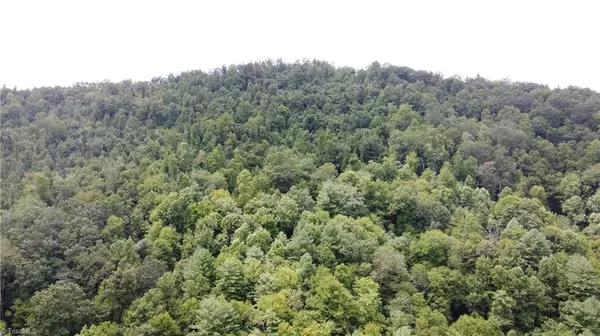 Purlear, NC 28665,TBD Eagle Hills RD #Eagle Hills