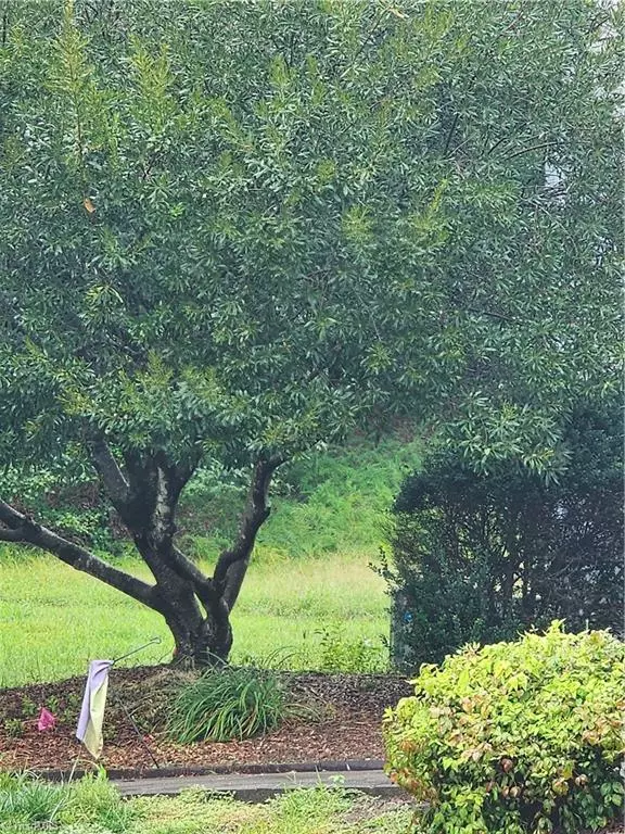 Winston-salem, NC 27103,132 Rivertree LN