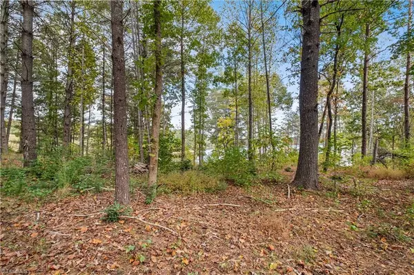 Granite Falls, NC 28630,LOT 241 Scenic LN