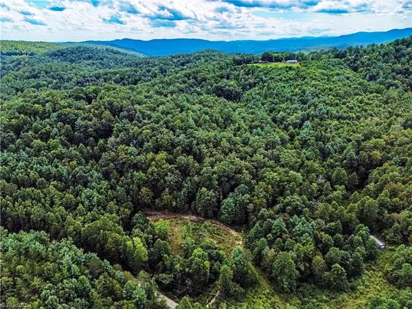 Millers Creek, NC 28651,0 Browntown RD