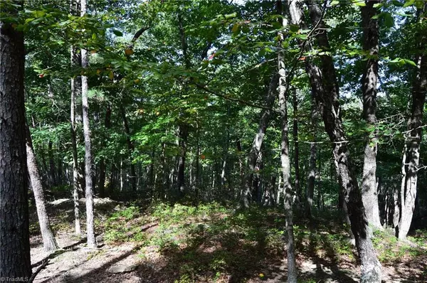 Danbury, NC 27016,01 Hanging Rock Forest RD #Tract D (14ac)
