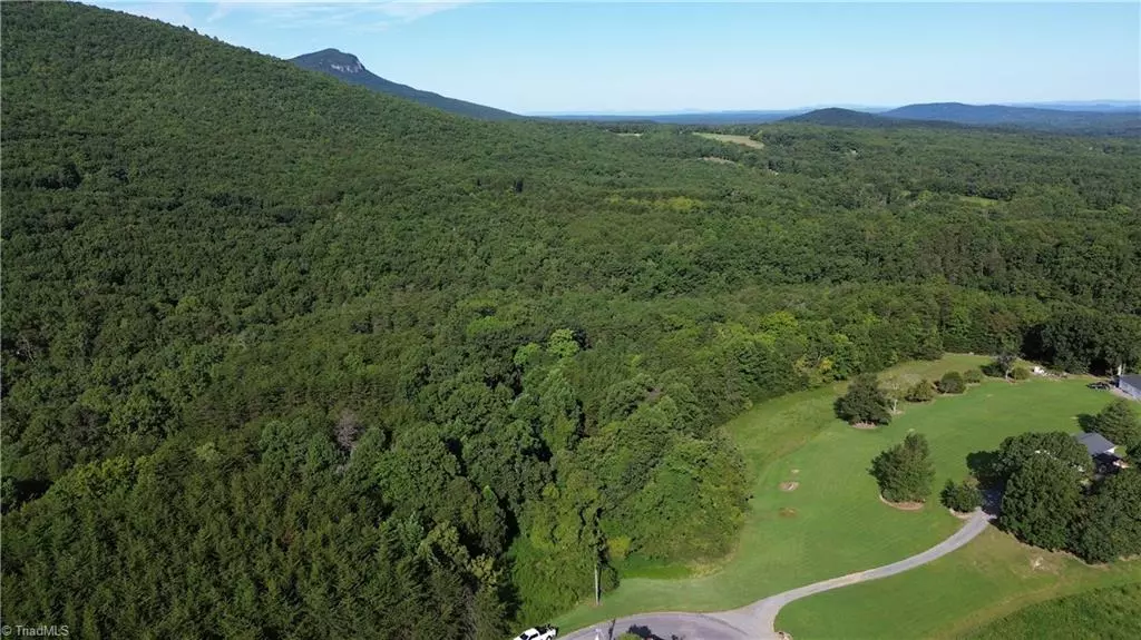 01 Hanging Rock Forest RD #Tract D (14ac), Danbury, NC 27016