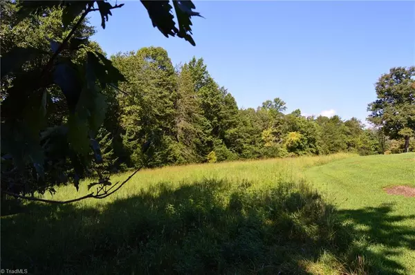 Danbury, NC 27016,01 Hanging Rock Forest RD #Tract D (14ac)