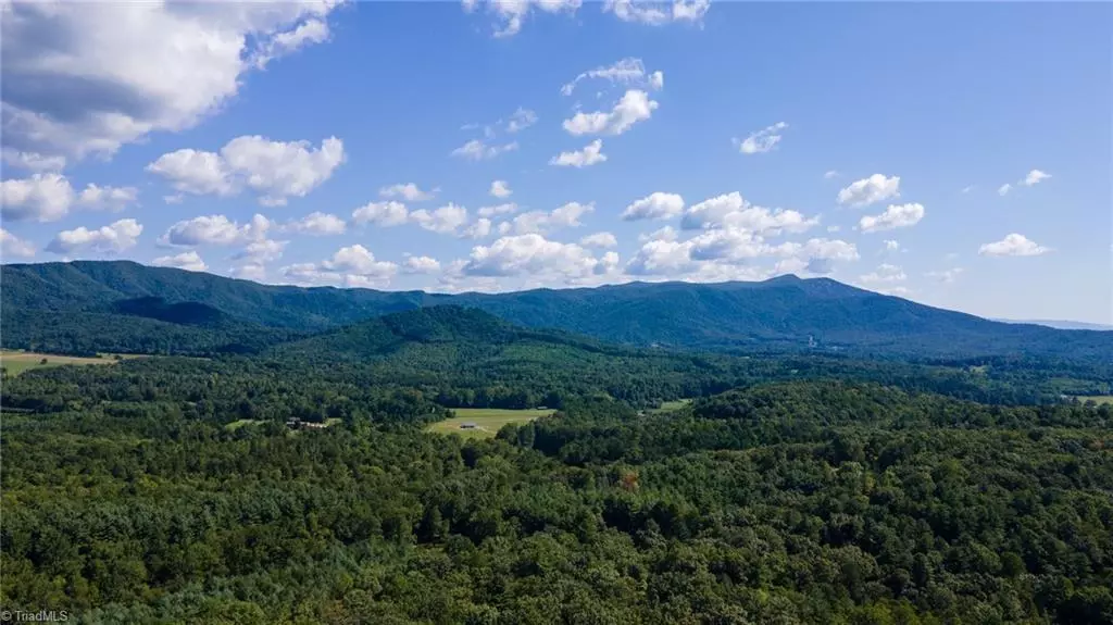 Lowgap, NC 27024,Lot #65 Jonathan DR