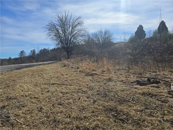 Crumpler, NC 28617,Lot #46 New River Landing