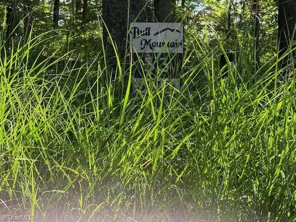 Millers Creek, NC 28651,33 Ashe View DR