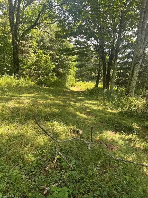 Newland, NC 28657,000 Whitaker Branch RD
