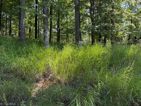 Millers Creek, NC 28651,38 Mill Creek CT