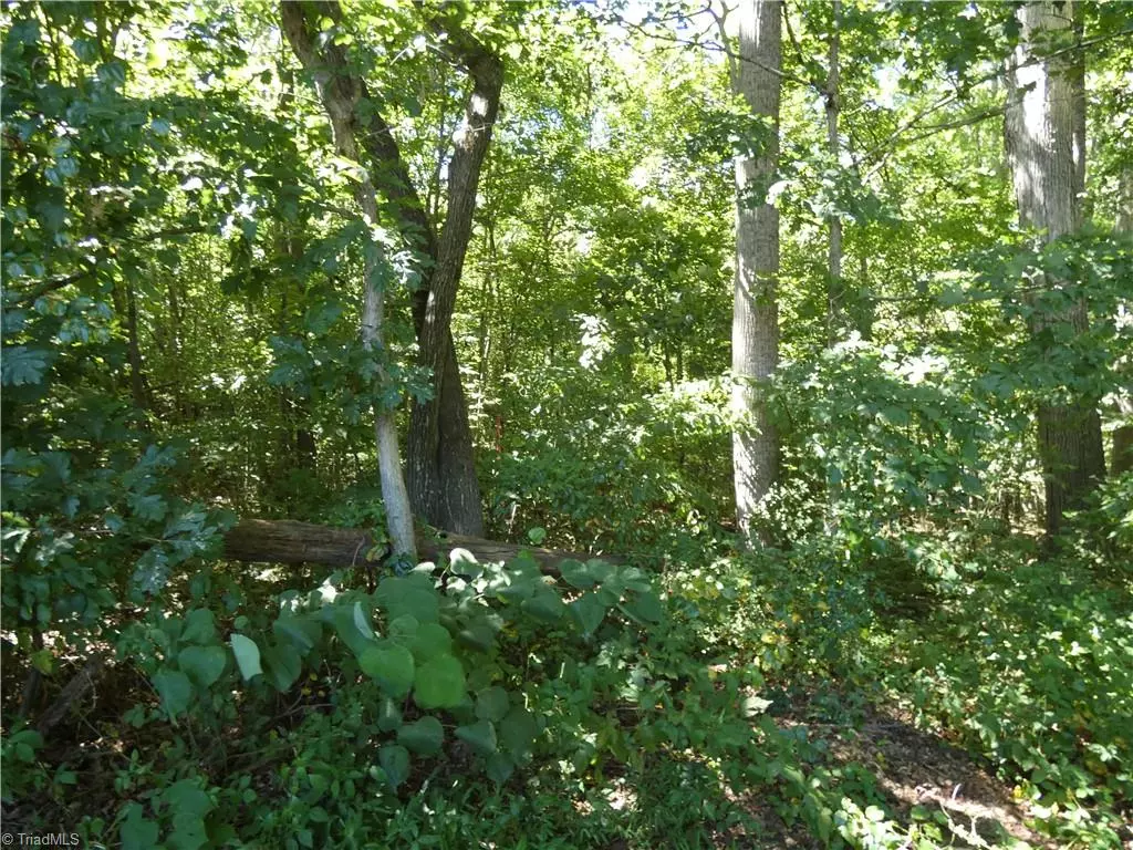 Yadkinville, NC 27055,00 aspen ST
