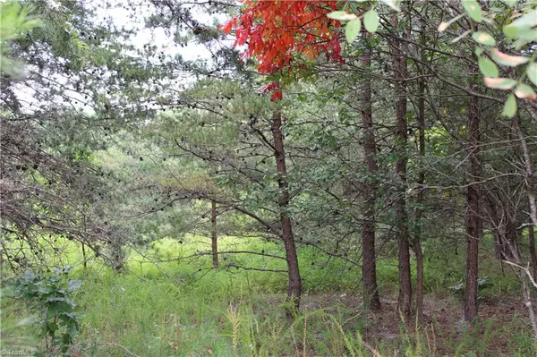 00 Ralph Joyce RD, Sandy Ridge, NC 27046