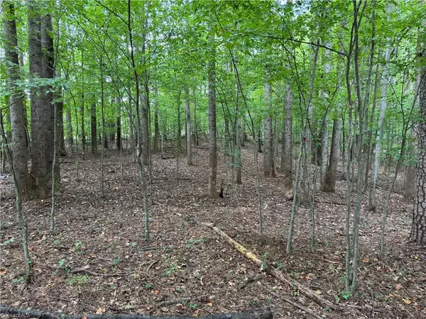 Elkin, NC 28621,0 Ebenezer Church RD