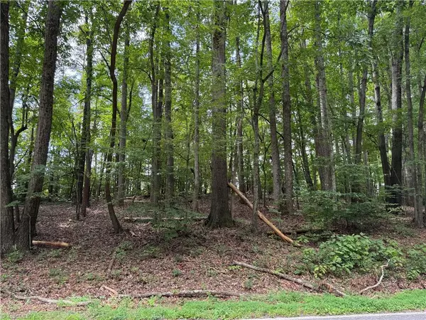 Elkin, NC 28621,0 Ebenezer Church RD