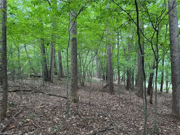 Elkin, NC 28621,0 Ebenezer Church RD