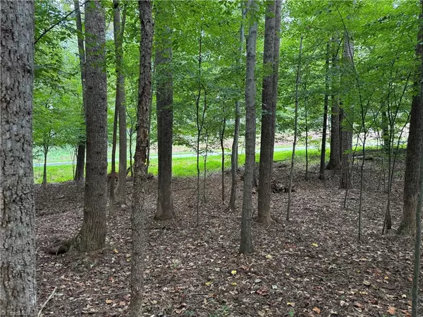 Elkin, NC 28621,0 Ebenezer Church RD