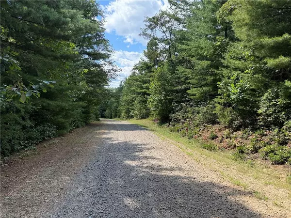 Purlear, NC 28665,Lot 163 Staghorn RD
